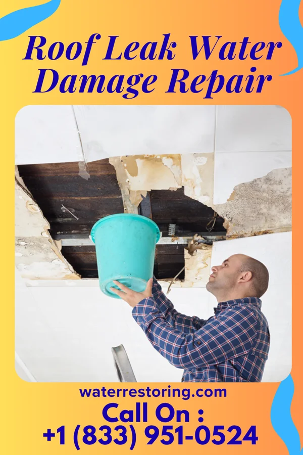 Roof Leak Water Damage Repair in Sterling, UT